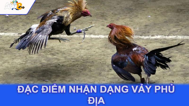 Đặc điểm nhận dạng vảy phủ địa