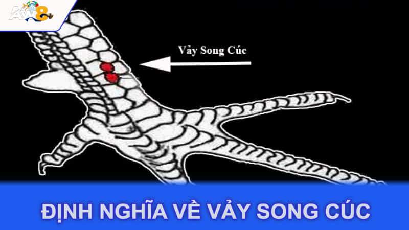 Định nghĩa về vảy song cúc