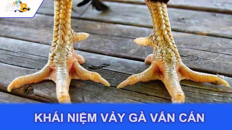 Khái Niệm Vảy Gà Vấn Cán