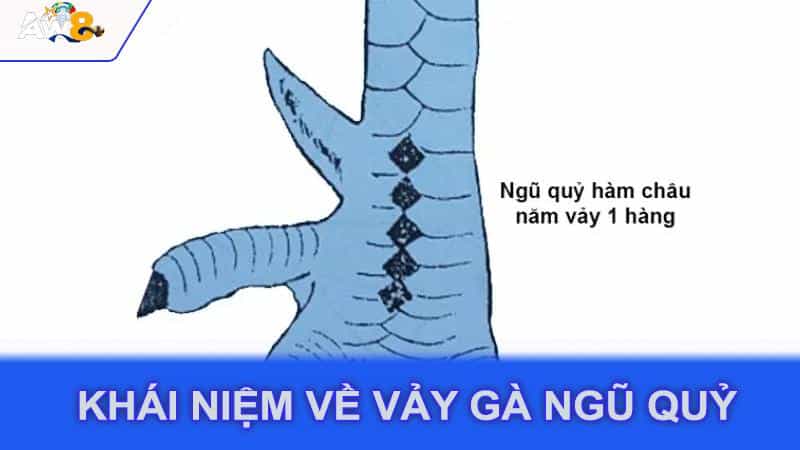 Khái niệm về vảy gà ngũ quỷ