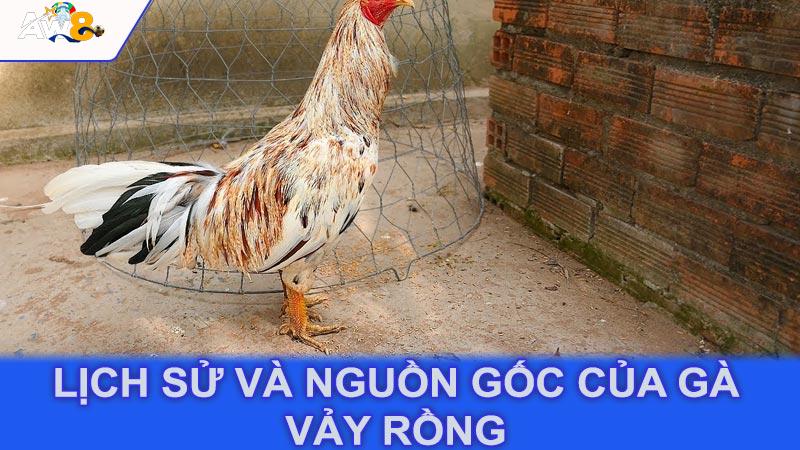 Lịch sử và nguồn gốc của gà vảy rồng