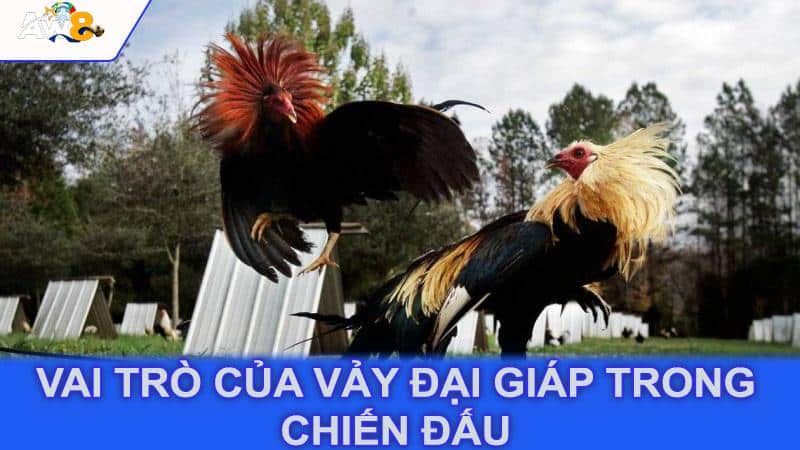 Vai trò của vảy đại giáp trong chiến đấu