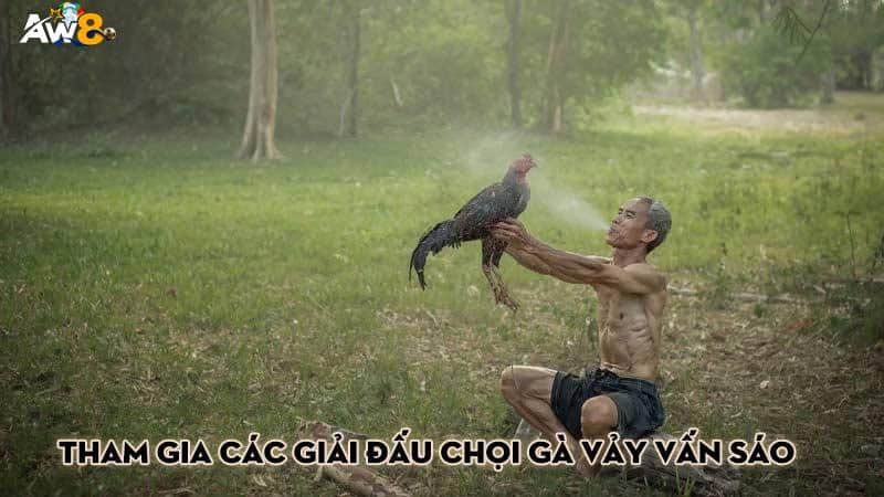 Tham gia các giải đấu chọi gà vảy vấn sáo